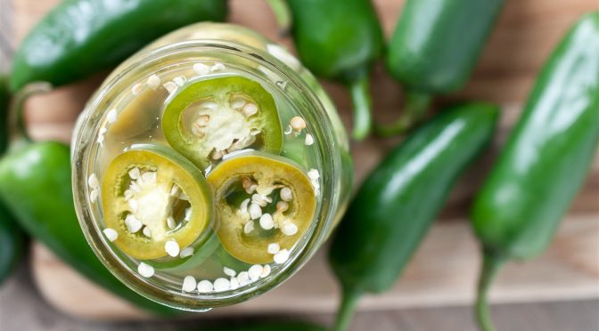 Cabai Jalapeno